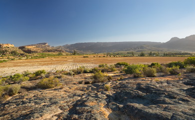 Beautiful colors and light effect in the plains in South Africa