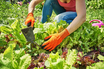 A woman works in the garden on her own in the garden
