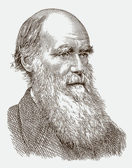 Portrait of Charles Darwin, historic scientist with long beard, after antique engraving from 19th century