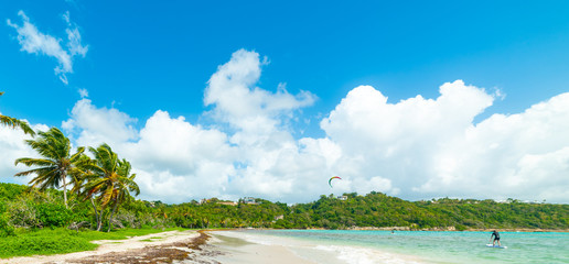 Obraz premium Blue sky over Pointe de la Saline beach in Guadeloupe
