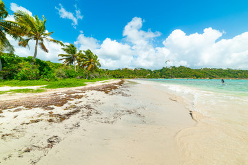 White sand in Pointe de la Saline beach in Guadeloupe