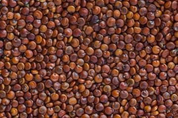 close up of red quinoa seeds background