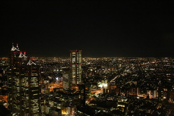 Fototapeta na wymiar Night Tokyo