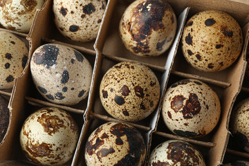 Obraz premium Quail eggs in carton box as background, closeup and top view