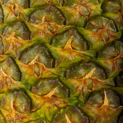 skin of fresh pineapple background