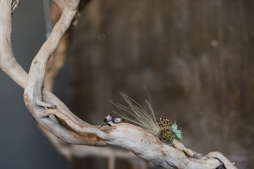 Composition of wedding rings and boutonniere on a vintage branch.