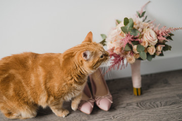 Bridal fashion. Pink shoes, ginger cat and wedding bouquet in the bedroom.