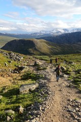 Norway mountain trail