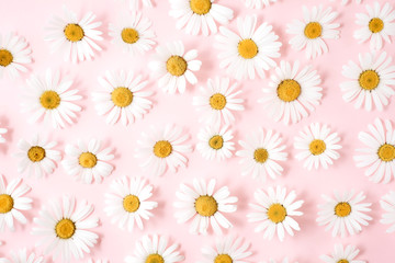 Flowers composition. Chamomile flowers on pastel yellow background. Spring, summer concept. Flat lay, top view, copy space