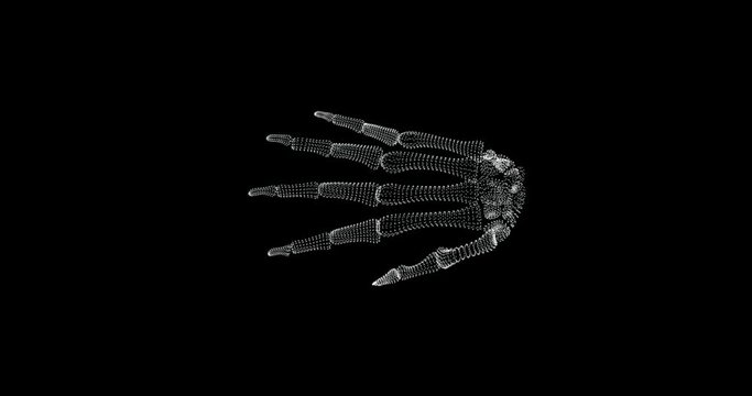 Screen 3d of bone structure in human hand in the human body - loop