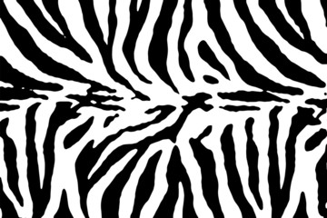 Zebra texture vector
