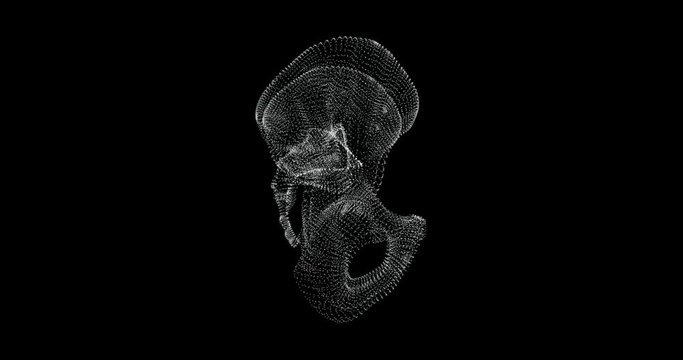 Representation screen 3d of pelvis bone in the human body