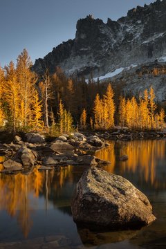 larch in last light
