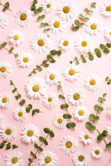 Flowers composition. Pattern made of chamomile, petals, leaves on pink background. Flat lay, top view, copy space