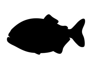 Vector illustration of black silhouette of piranha