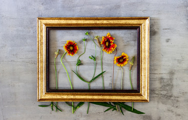 Flowers in the frame on a concrete background. Minimal concept. Creative.