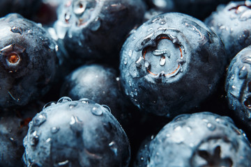 Nature background. Summer, spring concepts. Fresh blueberry background. Macro view of abstract nature texture and background organic pattern. Copy space. Macro shot. Texture blueberry berries close-up