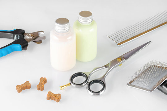 scissors with brush and comb for grooming, shampoo and dog treats