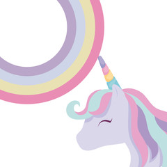 cute unicorn animal with rainbow