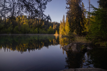 reflection of trees in lake, crestasee