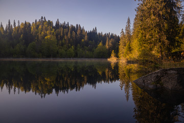 Fototapeta na wymiar reflection of trees in lake, crestasee