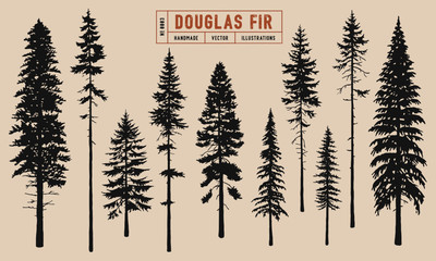 Douglas Fir tree silhouette vector illustration hand drawn	 - obrazy, fototapety, plakaty