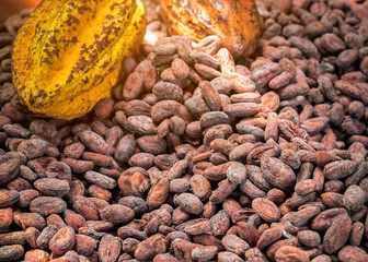 background of coffee beans