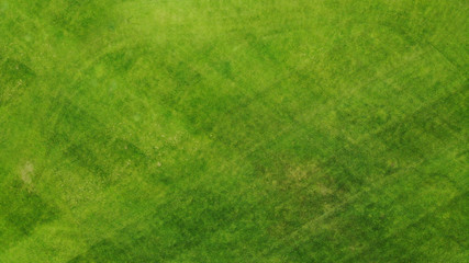 Fototapeta na wymiar Aerial. Green grass texture background. Top view from drone.