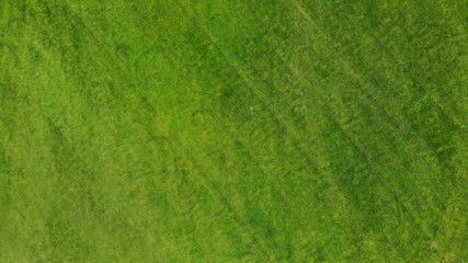 Fototapeta na wymiar Aerial. Green grass texture background. Top view from drone.