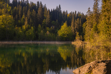 reflection of trees in lake, crestasee