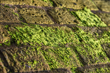 Bothany Bay, Kent, UK