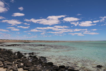 Hamelin Pool Marine Nature Reserve at Shark Bay., Western Australia