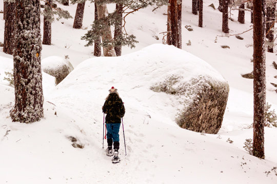 Woman walking with technical snowshoes in the pine forest by the mountains. In Sierra de Guadarrama National Park, Madrid, Segovia. Spain