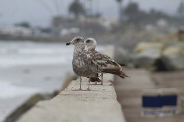 Sitting on a Ledge 