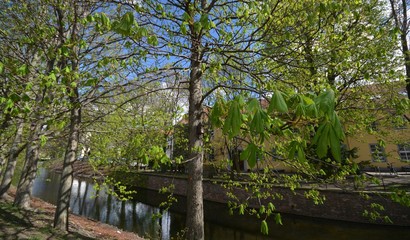 Spring impressions from the water jump (Mühlengraben) at the Victoria Shore (Viktoria-Ufer) in Old Town (Altstadt) from Berlin Spandau (since March 7, 1232 city rights) of April 6, 2017, Germany