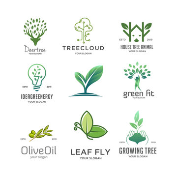 set of green leaf tree logo