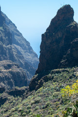 Mountain landscape