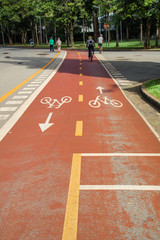 bike path in the park of Ibirapuera much used by athletaim of week, São Paulo Brazil