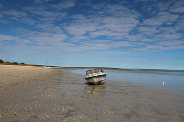 Fototapeta na wymiar Shark Bay in Western Australia