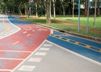 bike path in the park of Ibirapuera much used by athletaim of week, S&atilde;o Paulo Brazil