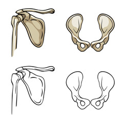 Isolated object of medicine and clinic symbol. Collection of medicine and medical stock symbol for web.