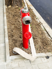 Red fire hydrant with an opened seal and a long white fire hose without water on a new lawn at a...