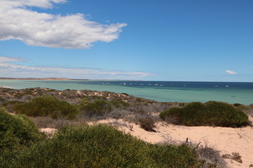 Holiday in  Denham in Western Australia