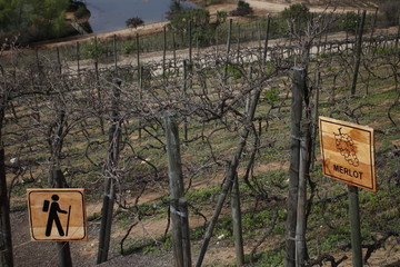 beautiful winery in Chile