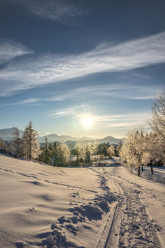 Sonnenuntergang &uuml;ber Trogen