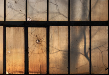 Cracked armed and stained glass panes with a few holes, at sunset. Silhouettes of bare trees in winter behind the glass. Mystery, haunted, ghost house concept.