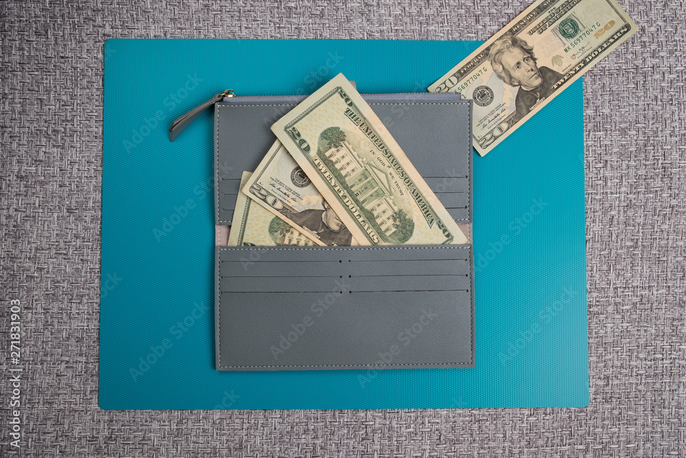 Wall mural women's leather wallet studio image. gray womens wallet with banknotes. dollar bills. dollars in a w