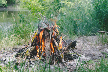 On the ground a fire burns in the forest with a bright flame.