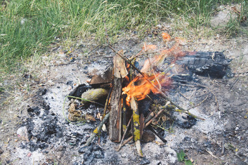 On the ground a fire burns in the forest with a bright flame.