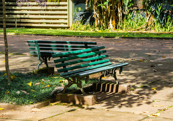 Banco de madeira no parque do Ibirapuera para pessoas descansarem e curtir a natureza,São Paulo,...